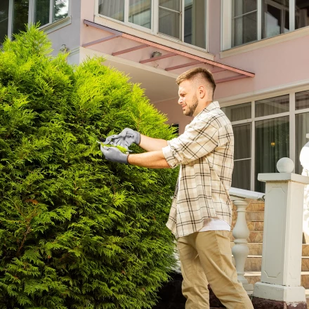 Секатор прямого реза Сибртех, 225 мм, металлические рукоятки, нижняя в ПВХ-оболочке, 604695 купить в Нижневартовске