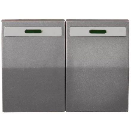 Выключатель СВЕТОЗАР "ЭФФЕКТ" двухклавишный, с эффектом свечения, без вставки и рамки, светло-серый металлик, 10A/~250B SV-54435-SM купить в Нижневартовске