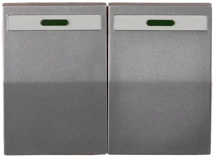 Выключатель СВЕТОЗАР "ЭФФЕКТ" двухклавишный, с эффектом свечения, без вставки и рамки, светло-серый металлик, 10A/~250B SV-54435-SM купить в Нижневартовске