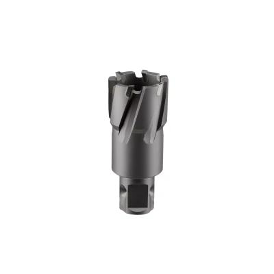 Сверло корончатое твердосплавное ALTECO TCT 18х35 82773