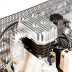 Компрессор масляный Denzel DR5500/300 ременный 58069 купить в Нижневартовске