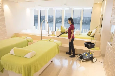 Пароочиститель KARCHER SG 4/4 профи купить в Нижневартовске