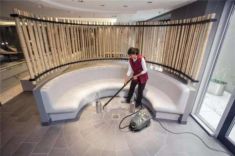 Пароочиститель KARCHER SG 4/4 профи купить в Нижневартовске