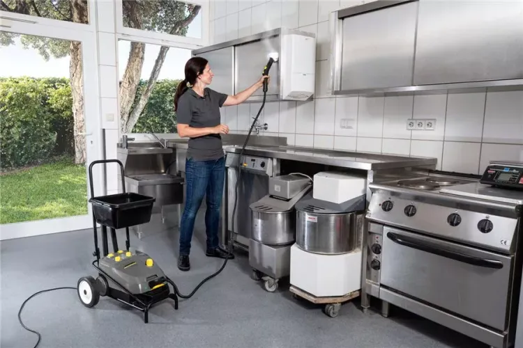 Пароочиститель KARCHER SG 4/4 профи купить в Нижневартовске