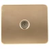 Розетка СВЕТОЗАР "ГАММА" телевизионная, без вставки и рамки, цвет золотой металлик SV-54115-GM купить в Нижневартовске