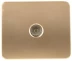 Розетка СВЕТОЗАР "ГАММА" телевизионная, без вставки и рамки, цвет золотой металлик SV-54115-GM купить в Нижневартовске