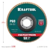 Круги лепестковые керамические торцевые 36598-125-60 купить в Нижневартовске