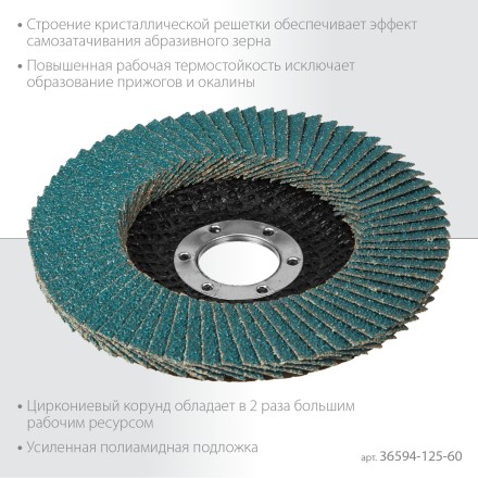 Круги лепестковые циркониевые торцевые 36594-125-60 купить в Нижневартовске