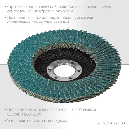 Круги лепестковые циркониевые торцевые 36594-125-60 купить в Нижневартовске
