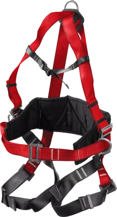 Удерживающая привязь 3 точки крепления серия Без серии купить в Нижневартовске