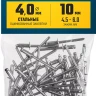 ЗУБР 4.0 x 10 мм, 50 шт, стальные заклепки, Профессионал (313126-40-10) купить в Нижневартовске