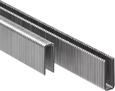 Скобы тип 55, 15 мм, особотвердые, ЗУБР "ПРОФЕССИОНАЛ" 31855-15, 2500 шт 31855-15 купить в Нижневартовске