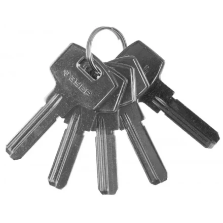 Заготовка ключа ЗУБР "ЭКСПЕРТ" для цилиндровых механизмов, компьютерный тип, 5 шт. 52196_z01 купить в Нижневартовске