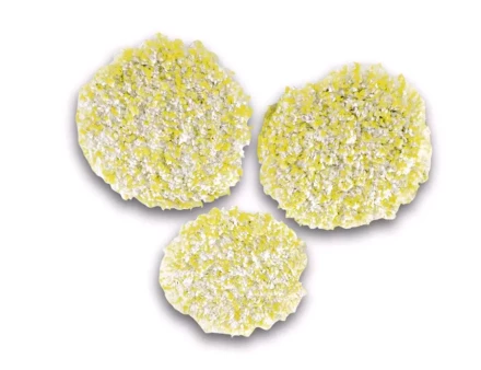 Пады для полировки камня/линолеума/ПВХ, 3 шт насадка для полотера FP KARCHER купить в Нижневартовске