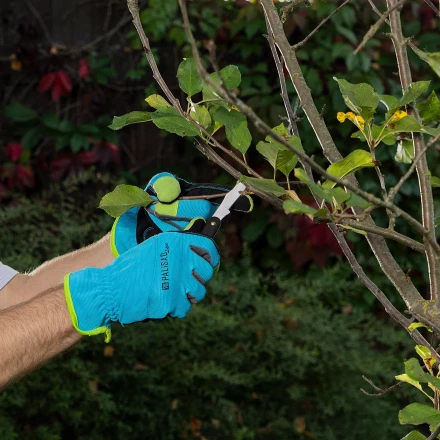 Нож садовый Palisad, 165 мм, складной, окулировочный, пластиковая рукоятка, 790547 купить в Нижневартовске