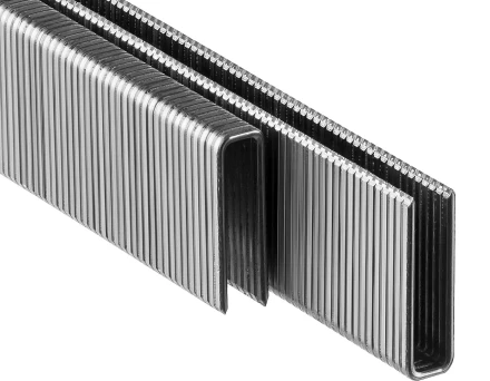 Скобы тип 55, 20 мм, особотвердые, ЗУБР "ПРОФЕССИОНАЛ" 31855-20, 2500 шт 31855-20 купить в Нижневартовске