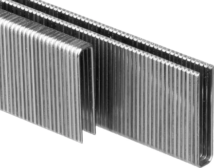 Скобы тип 55, 25 мм, особотвердые, ЗУБР "ПРОФЕССИОНАЛ" 31855-25, 2500 шт 31855-25 купить в Нижневартовске
