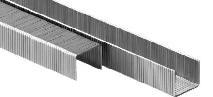 Скобы тип 80, 10 мм, особотвердые, ЗУБР "ПРОФЕССИОНАЛ" 31880-10, 5000 шт 31880-10 купить в Нижневартовске