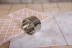 Коронка алмазная HAMMER Ф68мм HEX (DHS 68.0*65/5) купить в Нижневартовске