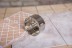 Коронка алмазная HAMMER Ф82мм HEX(DHS82.0*65/5) купить в Нижневартовске