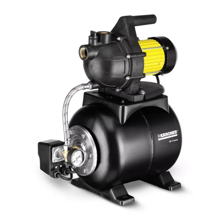 Поверхностный насос KARCHER BP 3 Home купить в Нижневартовске