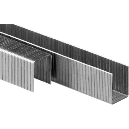 Скобы тип 80, 16 мм, особотвердые, ЗУБР "ПРОФЕССИОНАЛ" 31880-16, 5000 шт 31880-16 купить в Нижневартовске