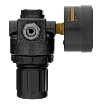Регулятор давления с манометром Denzel R1500, 12 бар, 1/4", 57491 купить в Нижневартовске
