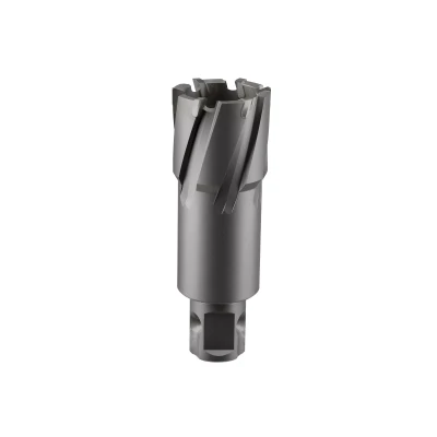 Сверло корончатое твердосплавное ALTECO TCT 40х50 82795