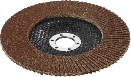 Круг шлифовальный STAYER "PROFI" лепестковый торцевой, зерно-электрокорунд нормальный, тип КЛТ 1, P60, 125х22,2мм 36581-125-060 купить в Нижневартовске