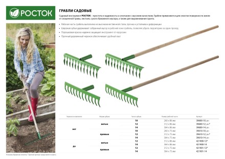 Грабли РОСТОК, 10 зубцов, прямые 39610-10_z01 купить в Нижневартовске