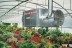 Подвесной дизельный теплогенератор BALLU FARM 90 M oil купить в Нижневартовске