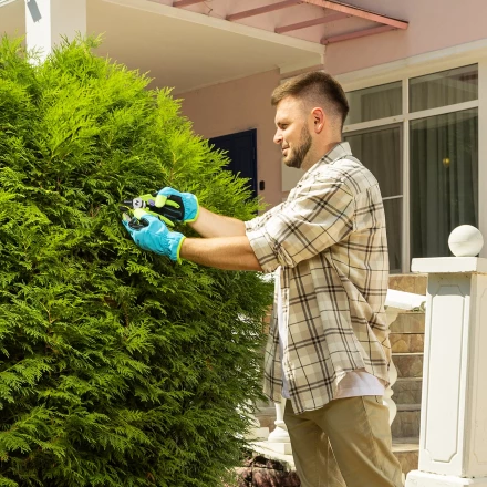 Секатор с наковальней Palisad, 190 мм, пластиковые рукоятки 60454 купить в Нижневартовске