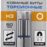 ЗУБР Hex 3, 50 мм, 2 шт, торсионные биты, Профессионал (26017-3-50-2) купить в Нижневартовске