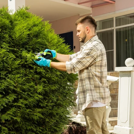 Секатор прямого реза Palisad, 190 мм, пластиковые рукоятки, 60456 купить в Нижневартовске