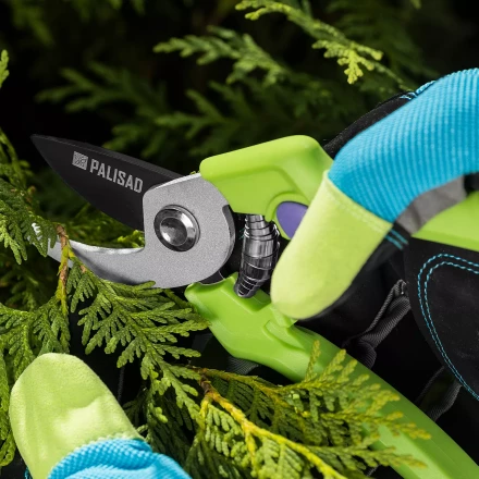 Секатор прямого реза Palisad, 190 мм, пластиковые рукоятки, 60456 купить в Нижневартовске