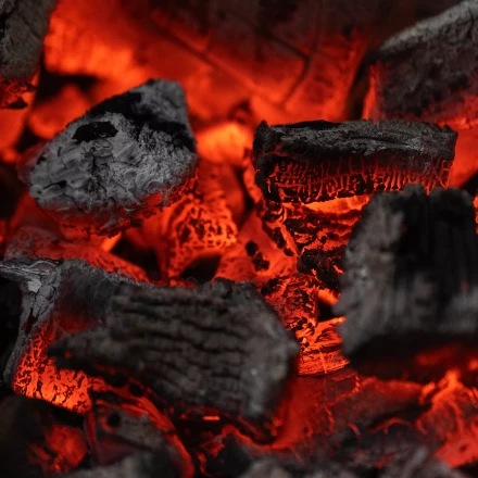 Уголь берёзовый, 5 кг Россия Camping Palisad 69662 купить в Нижневартовске