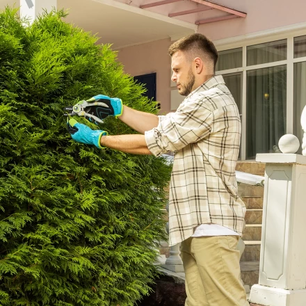 Секатор с наковальней Palisad, 210 мм, пластиковые рукоятки, 60465 купить в Нижневартовске