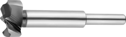 Сверло Форстнера по дереву, URAGAN 29995-25, d=25мм 29995-25 купить в Нижневартовске