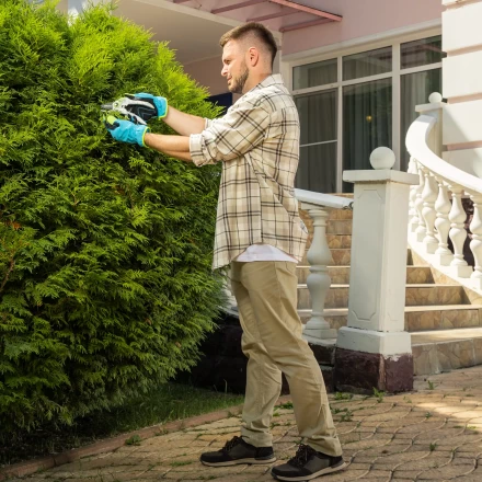 Секатор прямого реза Palisad, 210 мм, пластиковые рукоятки, 60466 купить в Нижневартовске