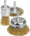 STAYER "PROFESSIONAL". Набор щеток-крацовок для дрели, витая стальная латунированная проволока 0,3мм, диск. 50мм, чаш. 50мм, кистевая 25мм, 3шт 35152-H3_z01 купить в Нижневартовске