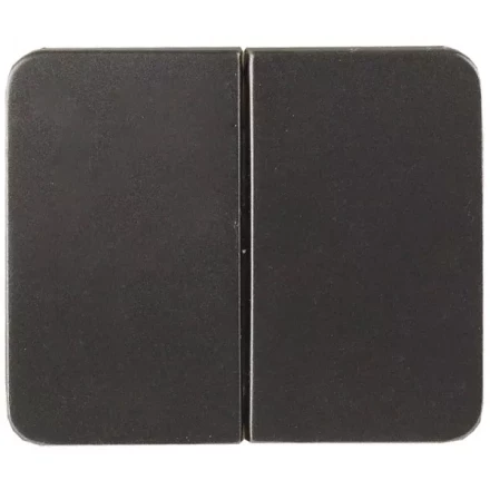 Выключатель СВЕТОЗАР "ГАММА" двухклавишный, без вставки и рамки, цвет темно-серый металлик, 10A/~250B SV-54134-DM купить в Нижневартовске