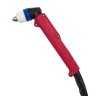Плазменный резак PW P80 (M16x1,5 / 2pin / 5m) XLP08050 купить в Нижневартовске