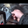 Пила торцовочная ELITECH ПТ 1221 (E2007.003.00) купить в Нижневартовске