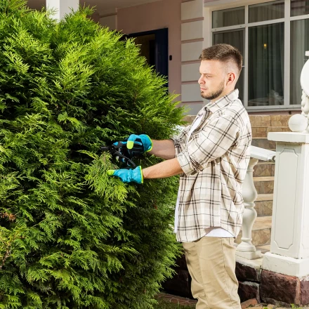 Секатор прямого реза Palisad 215 мм, двухкомпонентные рукоятки, Luxe 604775 купить в Нижневартовске