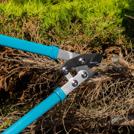 Сучкорез прямого реза Palisad 60597, 750 мм, двухрычажный механизм, двухкомпонентные рукоятки, LUXE купить в Нижневартовске