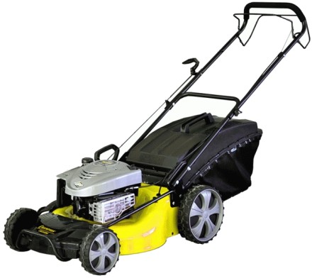 Газонокосилка CHAMPION LM 5345 BS купить в Нижневартовске