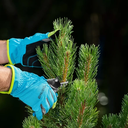 Секатор с наковальней Palisad, 170 мм, усиленный, рукоятки в ПВХ-оболочке, Luxe 605235 купить в Нижневартовске