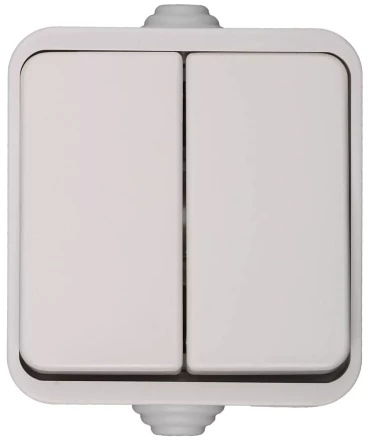 Выключатель СВЕТОЗАР БАТТЕРФЛЯЙ двухклавишный, цвет белый, 10А/~250В SV-54334-W купить в Нижневартовске