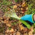 Грабли веерные 9 - зубые Palisad, 130 х 415 мм, стальные, пластиковая рукоятка, Flower Green, 620425 купить в Нижневартовске