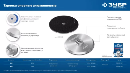 ЗУБР d 100 мм, М14, держатель алюминиевый для АГШК, ПРОФЕССИОНАЛ (35783-100) купить в Нижневартовске